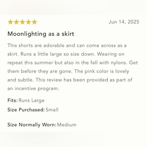 NWT Size L - Anthropologie Silky Skorts with built in shorts (NWT US$ 128) - Picture 10 of 16